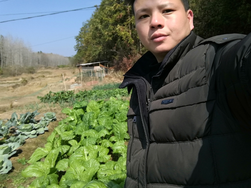 倔强的驴的第一张照片--信阳相亲服务中心