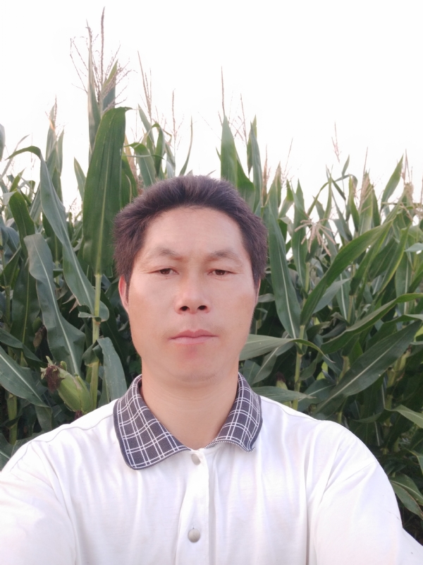 四海游龙的第一张照片--信阳相亲服务中心