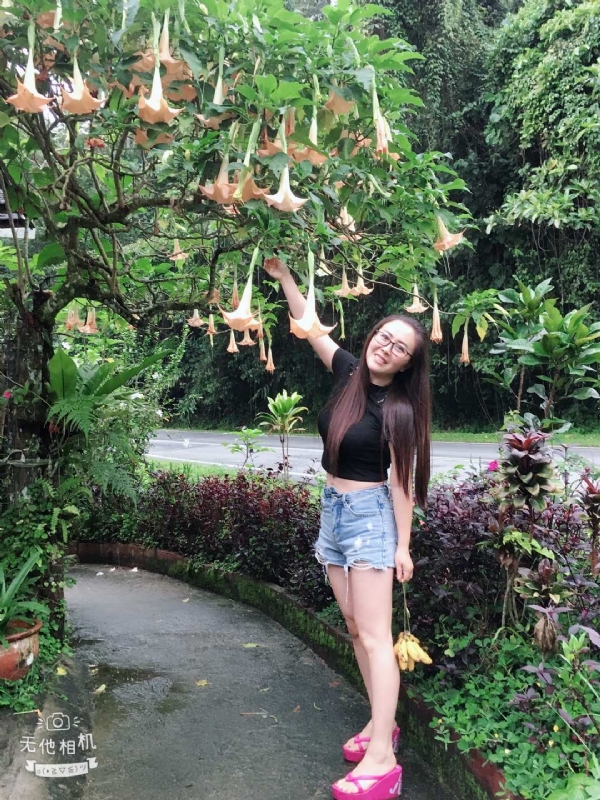 离异单身无子的第二张照片--信阳相亲服务中心