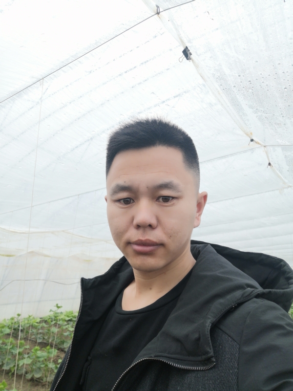 宇成的第一张照片--信阳相亲服务中心
