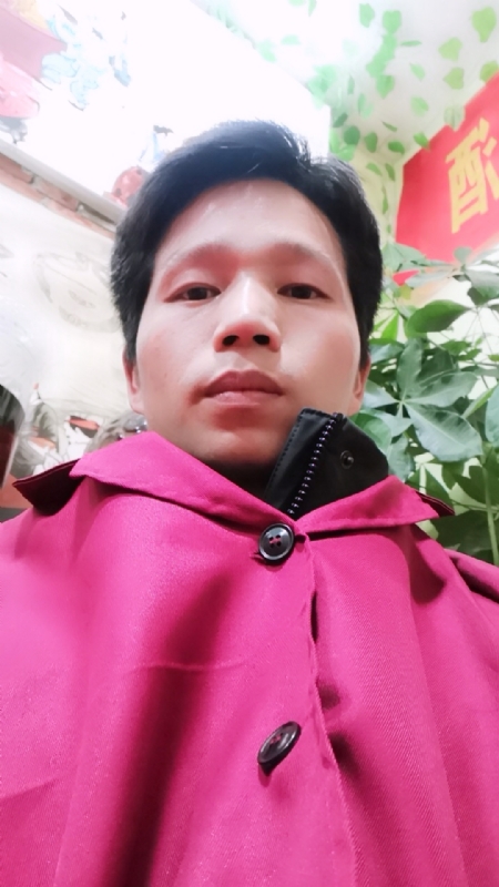 单身的林凡的第一张照片--信阳相亲服务中心
