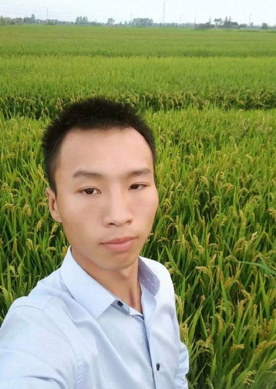 等待远方的你的第二张照片--信阳相亲服务中心