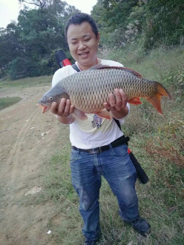 迷路的男人的第一张照片--信阳相亲服务中心
