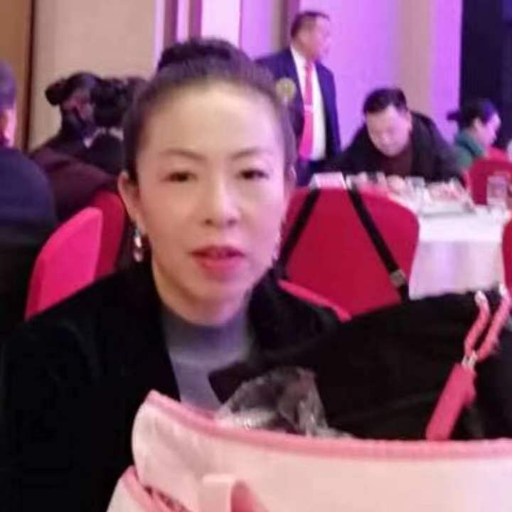 中秋桂花玉兔的第四张照片--信阳相亲服务中心