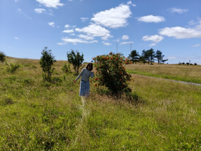 秋蝉的第一张照片--信阳相亲服务中心