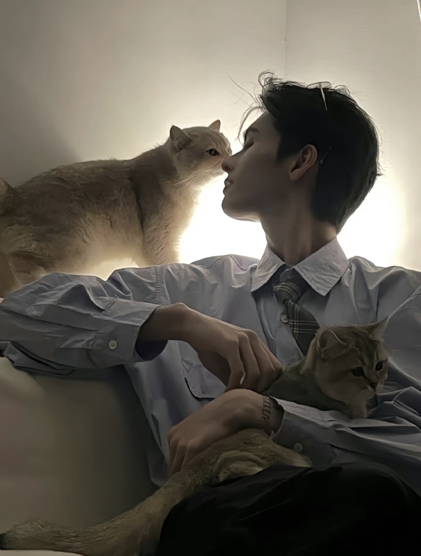 怪猫的第一张照片--信阳相亲服务中心