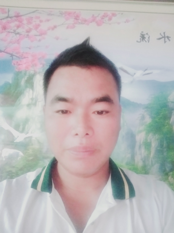 阳光男孩的第二张照片--信阳相亲服务中心