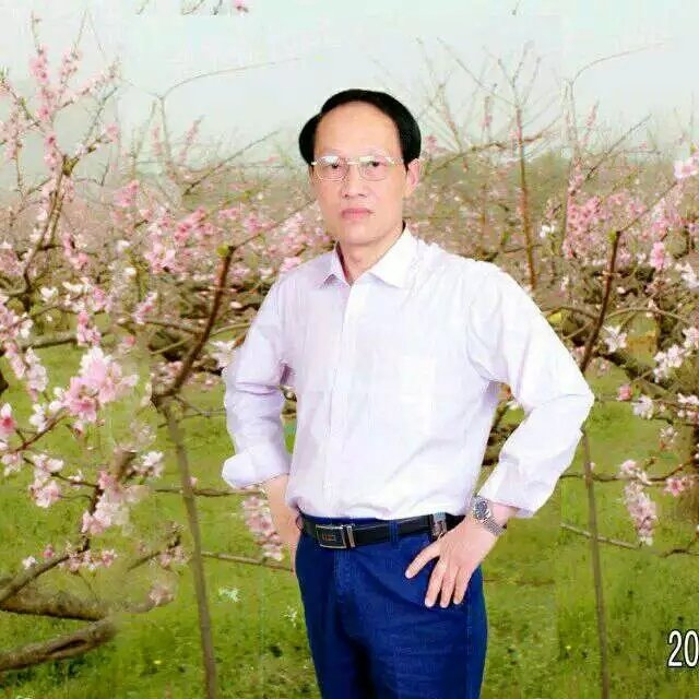 枫叶的第一张照片--信阳相亲服务中心