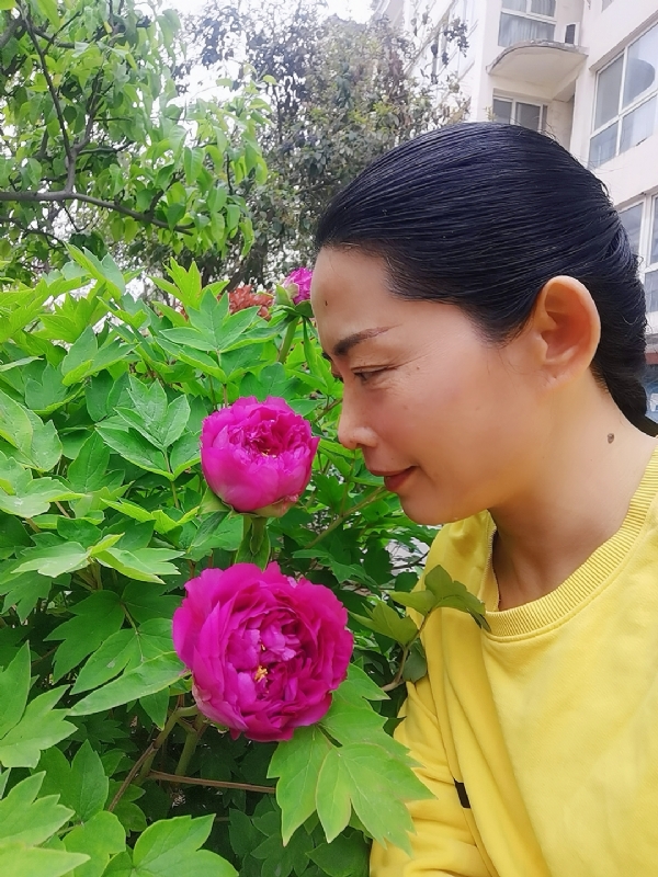 厚德载物的第一张照片--信阳相亲服务中心