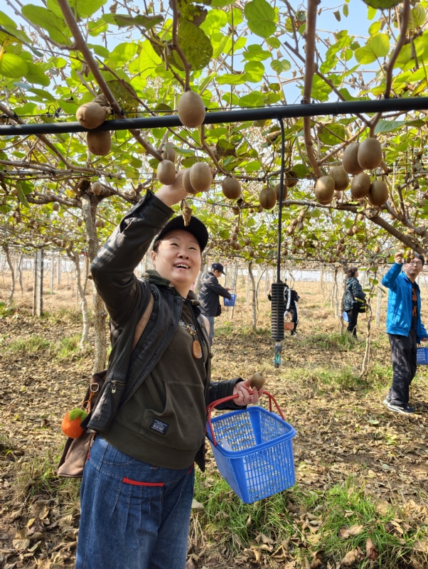 夜莺的第四张照片--信阳相亲服务中心